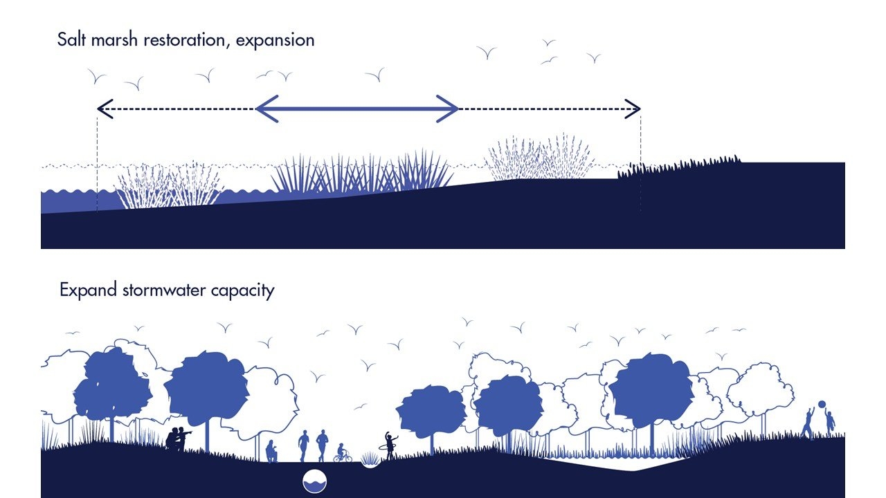 Nature-Based Solutions: Action Toolkit