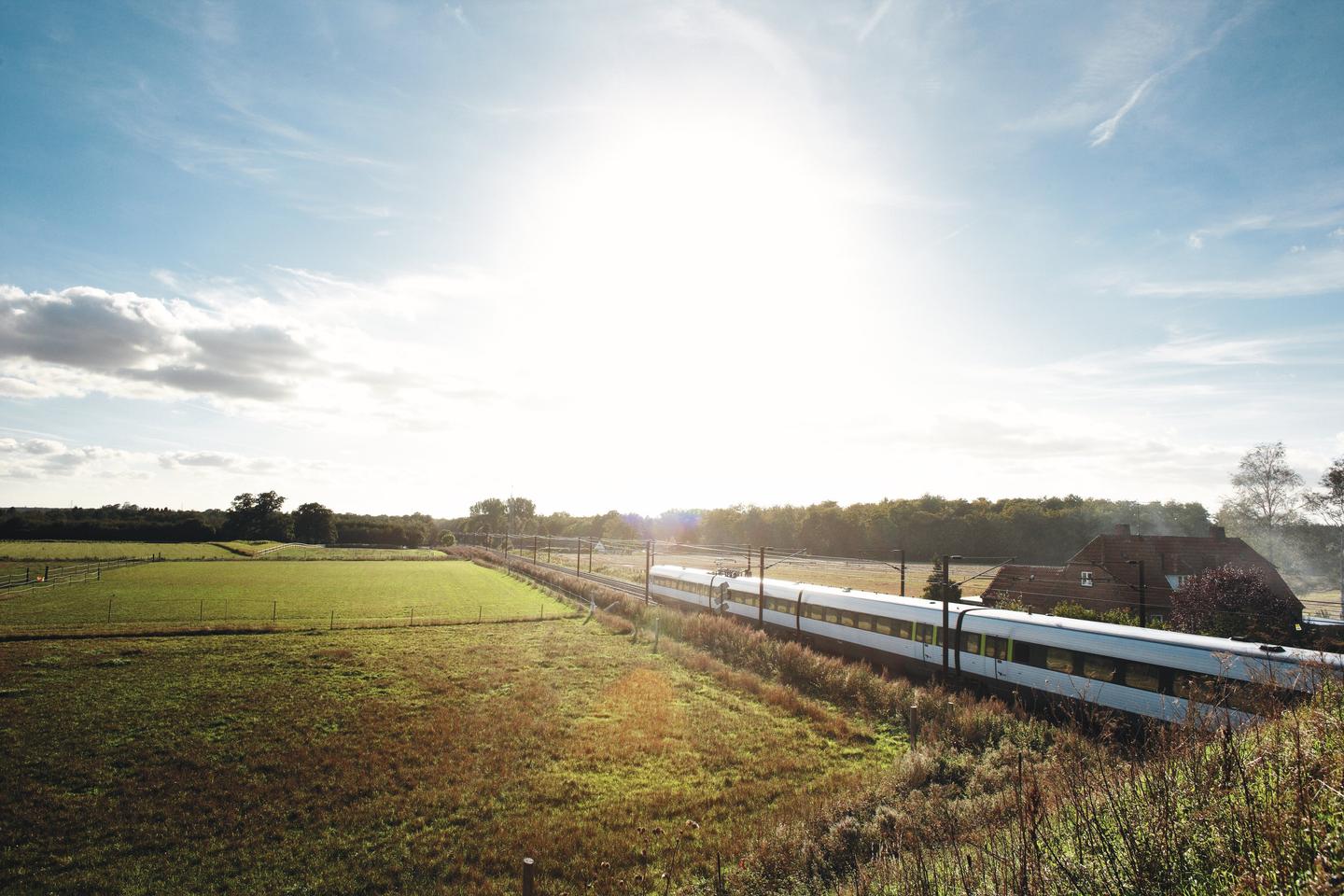 A train driving through a green landscape in the sun